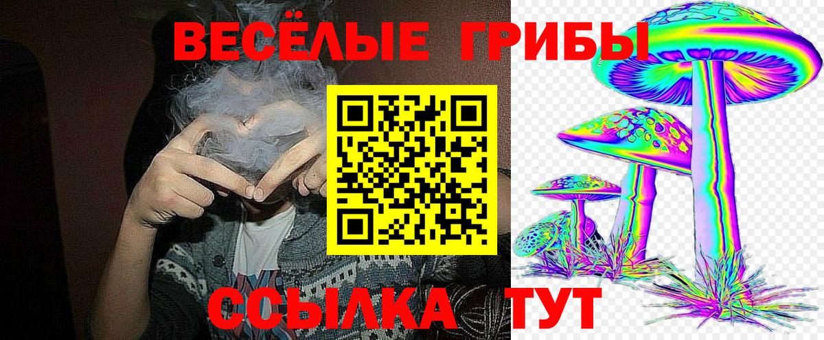 Галлюциногенные грибы прущие грибы Людиново
